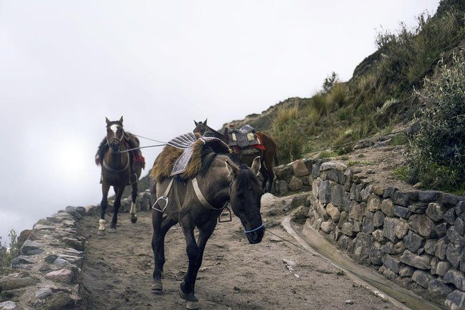 private-quilotoa-lagoon-and-toachi-canyon-including-local-family-visit