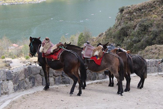 private-quilotoa-lagoon-and-toachi-canyon-including-local-family-visit