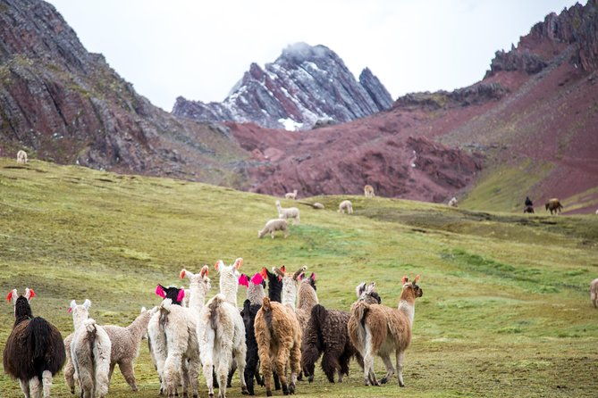 private-rainbow-mountain-1-day-tour