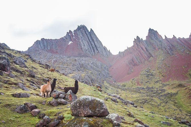 private-rainbow-mountain-1-day-tour