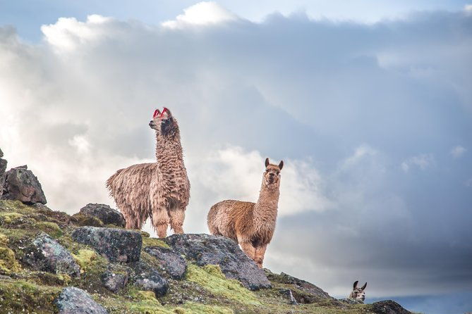 private-rainbow-mountain-1-day-tour