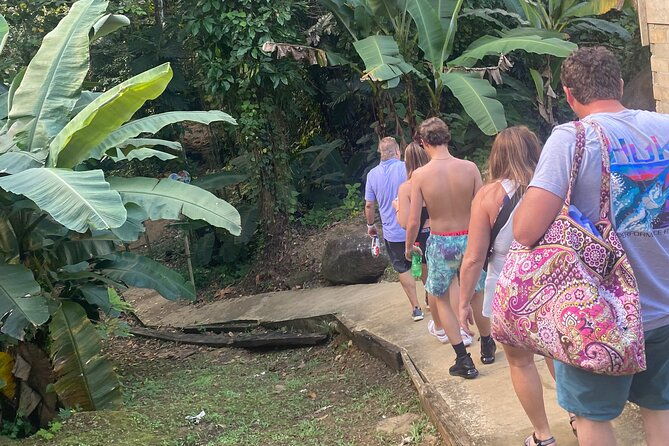 private-rainforest-waterfall-escape-local-foods-and-beach-tour