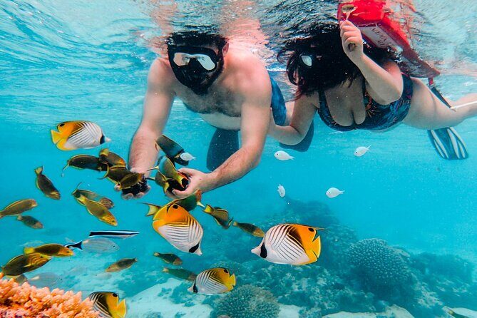 Private Rarotonga Turtle Tour - Who Should Consider This Tour?