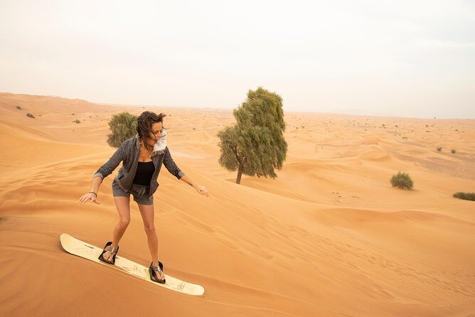 Private Red Dunes Desert Safari , BBQ Dinner and Camel ride - The Journey through Dubai’s Desert: What to Expect