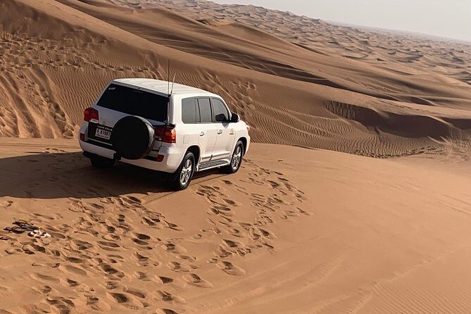 Private Red Dunes Desert Safari Dubai - A Close Look at the Desert Safari