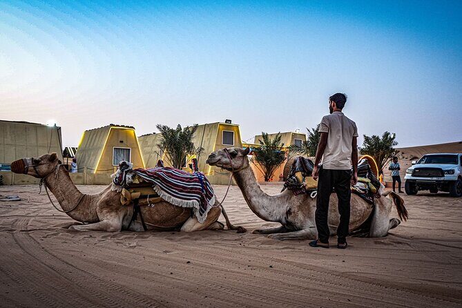 Private RedDune Safari with camel Riding,BBQ dinner &Live Shows - The Sum Up: Is This Tour Worth It?