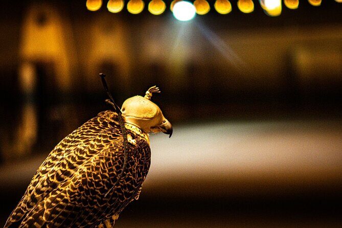 Private RedDune Safari with camel Riding,BBQ dinner &Live Shows - FAQ