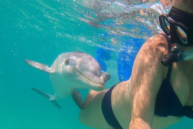 private-reef-beach-and-sandbar-tour-from-providenciales