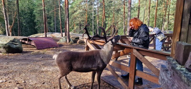 private-reindeer-park-adventure-by-vip-car