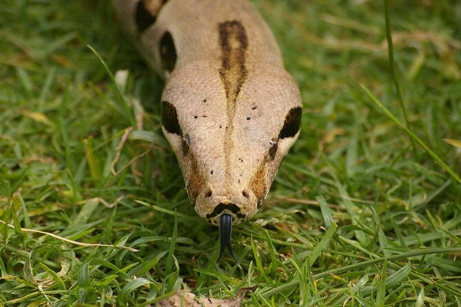 private-reptile-zoo-adventure-tour-with-guide-in-cartagena