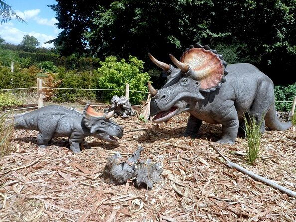 private-return-transfer-thoiry-zoo-safari-from-paris