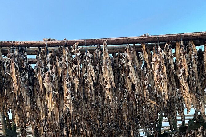 private-reykjanes-peninsula-guided-tour