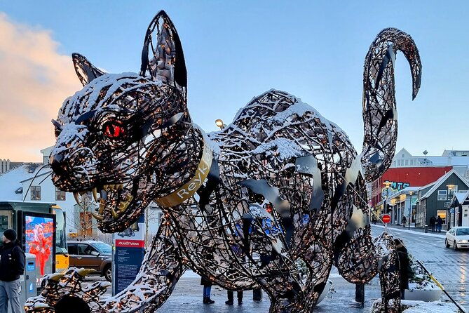 private-reykjavik-cat-walking-tour-2