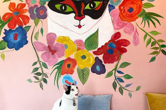 private-reykjavik-cat-walking-tour