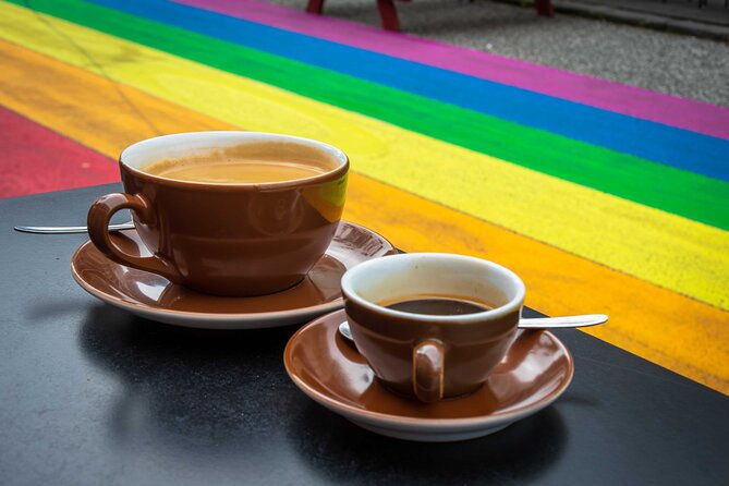 private-reykjavik-lgbtq-city-walk