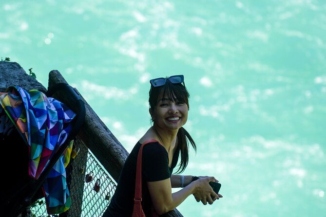 private-rhine-falls-half-day-tour-with-a-local-from-zurich
