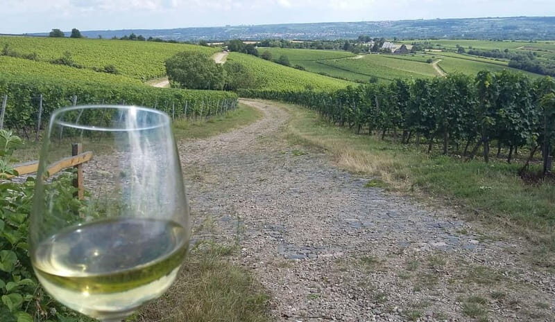 Private Rhine Valley tour with river cruise & wine tasting - Discovering the Rhine Valley: A Detailed Look at the Private Tour with River Cruise & Wine Tasting