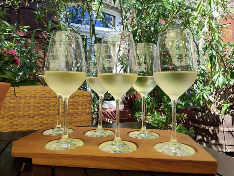 Private Rhine Valley tour with river cruise & wine tasting - Final Thoughts: Who Will Love This Tour?