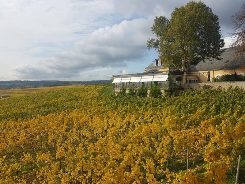 Private Rhine Valley tour with river cruise & wine tasting - Final Verdict
