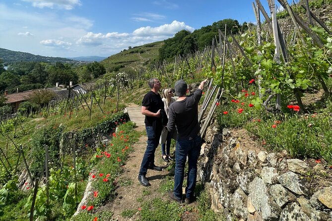 private-rhone-valley-wine-tour