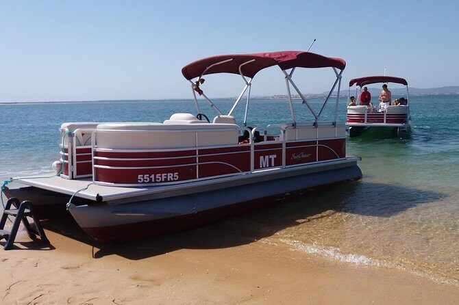 Private Ria Formosa Natural Park Boat Cruise from Faro - Who Should Consider This Tour?