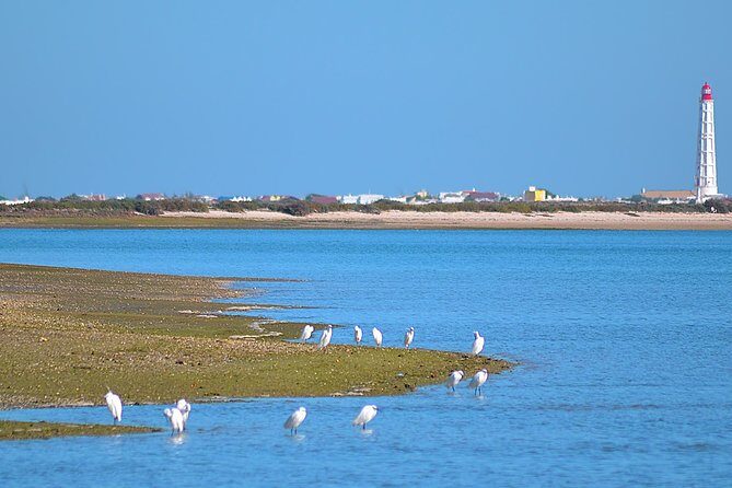 Private Ria Formosa Natural Park Boat Cruise from Faro - FAQs