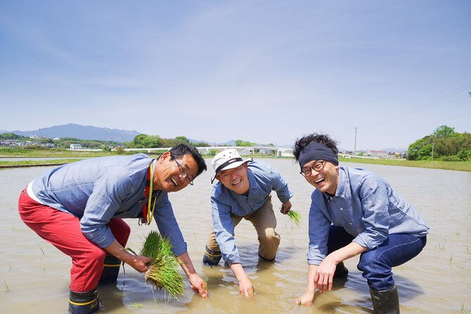 private-rice-agriculture-experience-in-mie