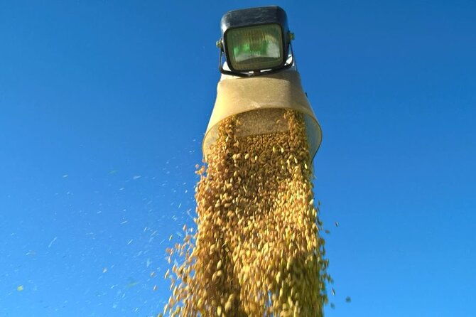 private-rice-agriculture-experience-in-mie