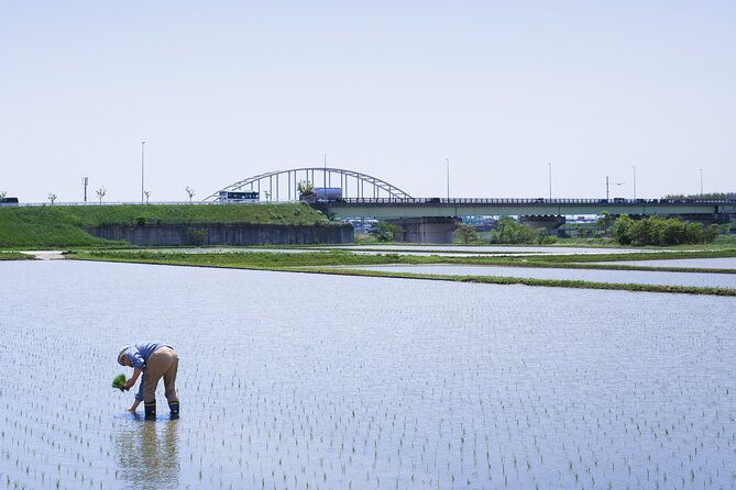 private-rice-agriculture-experience-in-mie