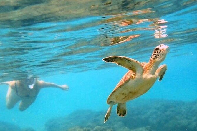 private-rincon-snorkeling-adventure