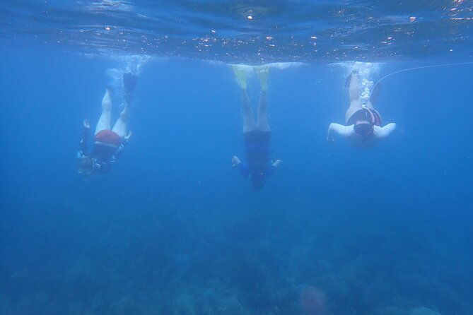 private-rincon-snorkeling-adventure