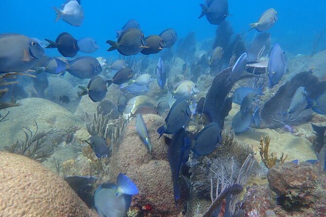 private-rincon-snorkeling-adventure