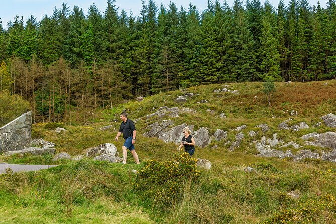 private-ring-of-kerry-and-skellig-ring-tour-from-killarney