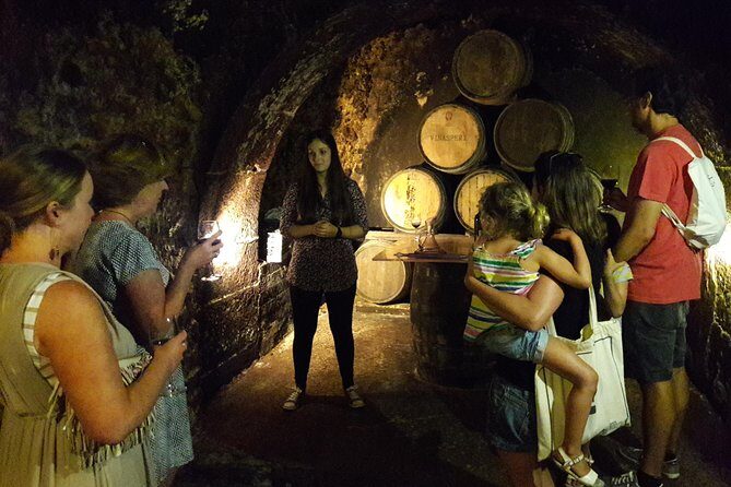 Private Rioja wine tasting tour with local lunch - Dining and Authentic Flavors
