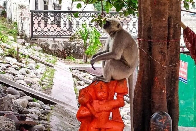 Private Rishikesh Tour From Delhi - Key Points