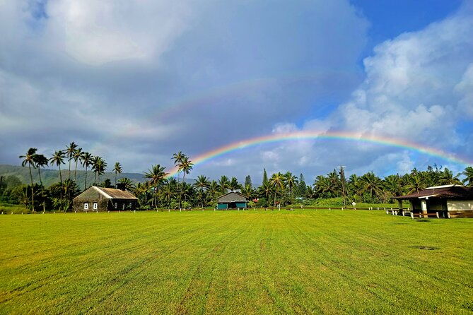 private-road-to-hana-or-any-maui-destination-in-luxury-mercedes-sprinter