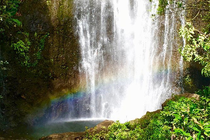private-road-to-hana-tour
