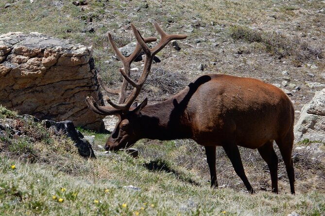private-rocky-mountain-national-park-4-hour-tour