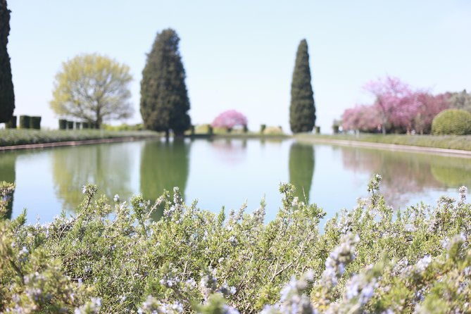 private-rome-to-tivoli-shore-excursion