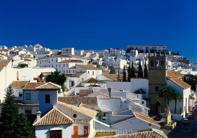 Private Ronda Day Trip Tour from Sevile - Who is This Tour Best For?