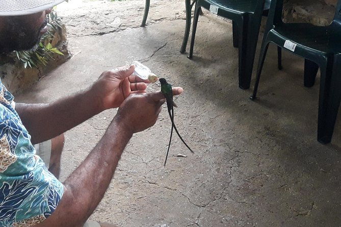 private-round-trip-shuttle-transport-to-rockland-bird-sanctuary