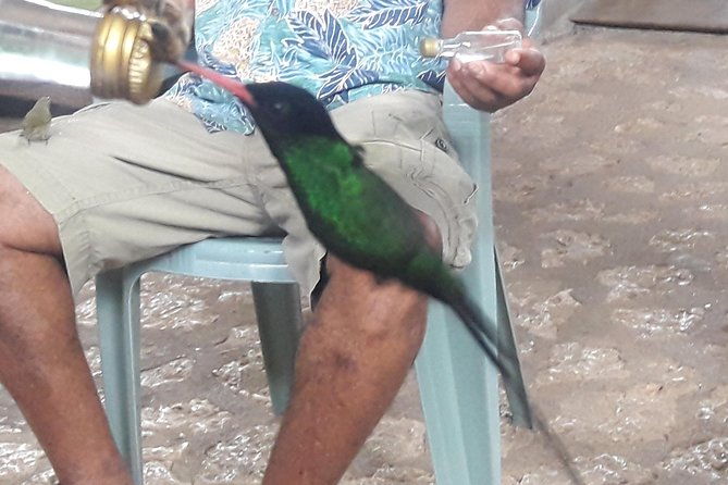 private-round-trip-shuttle-transport-to-rockland-bird-sanctuary