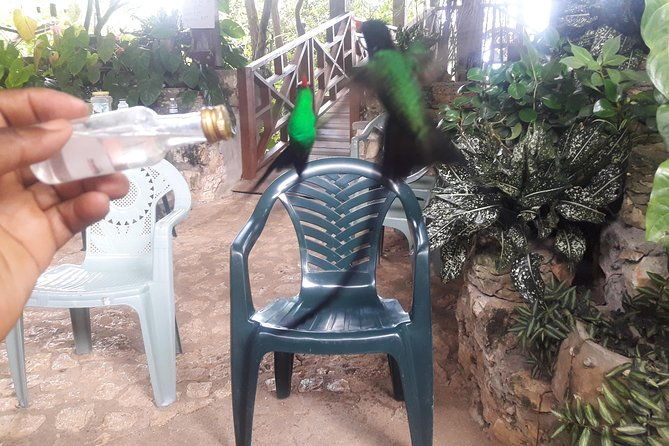 private-round-trip-shuttle-transport-to-rockland-bird-sanctuary