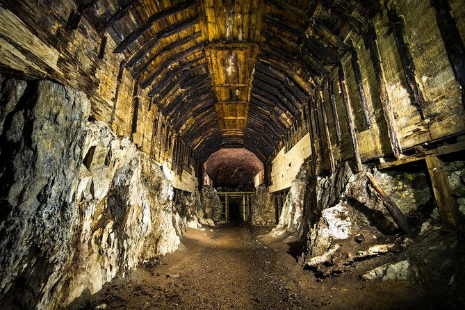 private-round-trip-to-project-riese-including-tickets