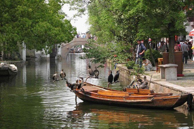 Private Round Trip Transfer to Suzhou & Zhouzhuang from Shanghai - Key Points