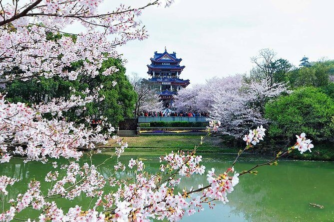 Private Round Trip Transfer to Top Wuxi Attractions from Shanghai - Exploring Wuxi with a Private Transfer: What to Expect