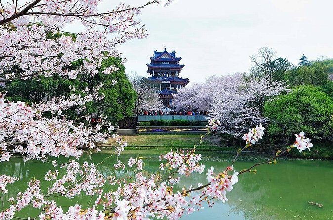 Private Round Trip Transfer to Top Wuxi Attractions from Shanghai - FAQ