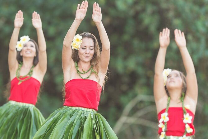 private-round-trip-transportation-from-honolulu-to-north-shore
