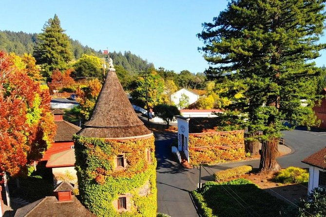 private-russian-river-day-trip-from-san-francisco-redwoods-and-wine-country