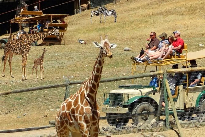 private-russian-river-day-trip-from-san-francisco-redwoods-and-wine-country